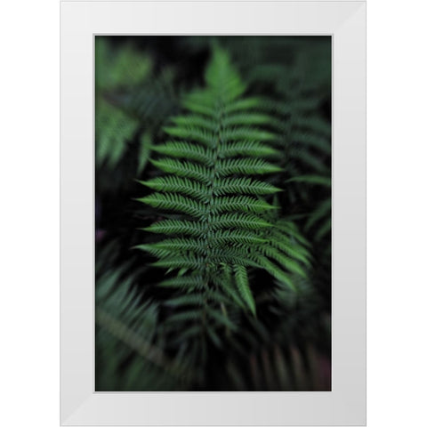 Soft Leaf White Modern Wood Framed Art Print by Walsh, Claire
