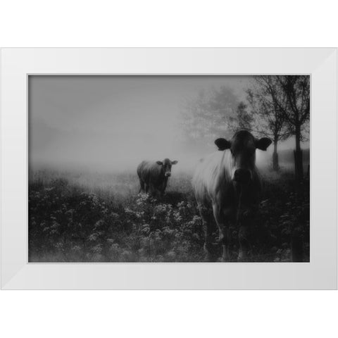 Foggy Memory  Of The Past White Modern Wood Framed Art Print by Dingemans, Saskia