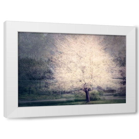 Apple Tree White Modern Wood Framed Art Print by Holmstrom, Katarina