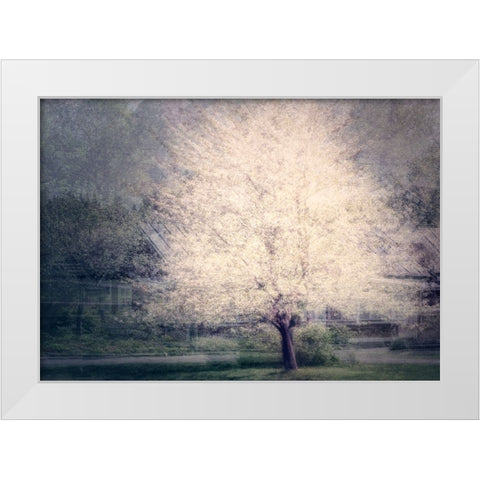 Apple Tree White Modern Wood Framed Art Print by Holmstrom, Katarina