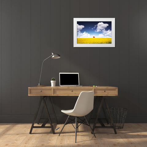 Canola Meadow White Modern Wood Framed Art Print by Hamiti, Bess