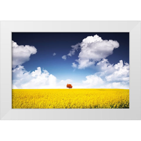 Canola Meadow White Modern Wood Framed Art Print by Hamiti, Bess