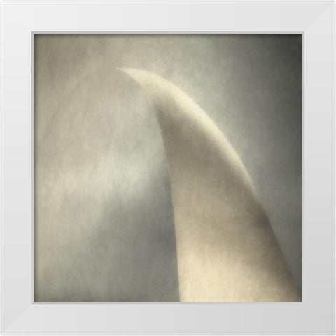 Arco Doro White Modern Wood Framed Art Print by Claes, Gilbert