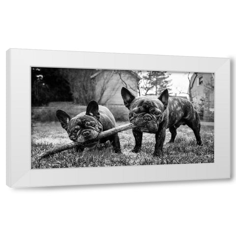 Sharing Is Caring White Modern Wood Framed Art Print by Holmqvist, Marcus