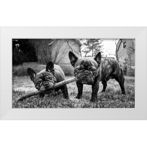 Sharing Is Caring White Modern Wood Framed Art Print by Holmqvist, Marcus