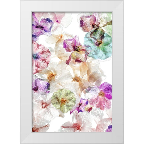 Ghost Orchids White Modern Wood Framed Art Print by Shumilova, Ludmila