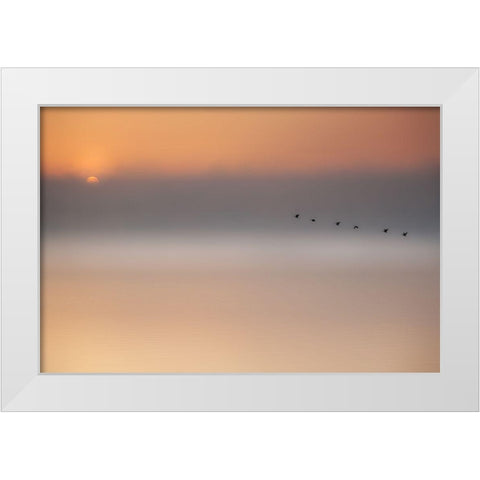 Precious Memories White Modern Wood Framed Art Print by Schleicher-Schwarz, Roswitha