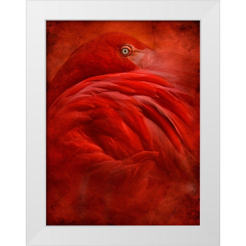 Tropical White Modern Wood Framed Art Print by Hummel, Jeffrey