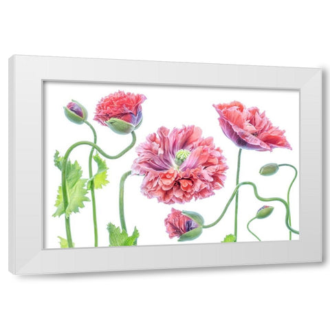 Fancy White Modern Wood Framed Art Print by Disher, Mandy