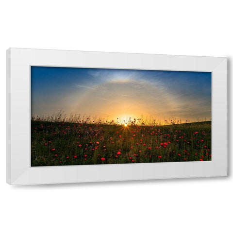 Red Poppies And Sunrise White Modern Wood Framed Art Print by Zhu, Hua