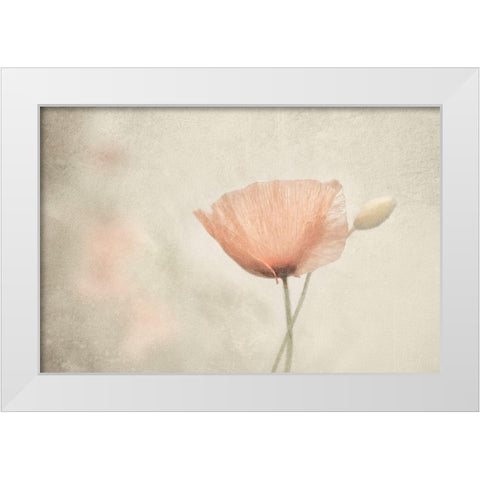 Jewel Of Nature White Modern Wood Framed Art Print by Claes, Gilbert