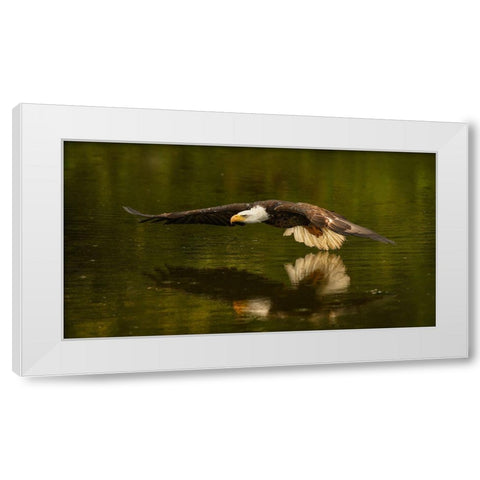 The Reflective Pond White Modern Wood Framed Art Print by Breau, Susan