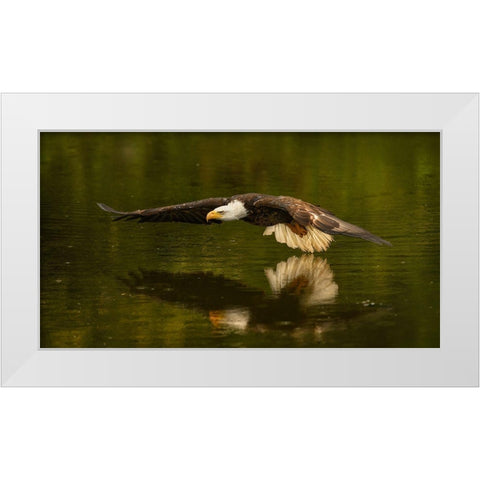 The Reflective Pond White Modern Wood Framed Art Print by Breau, Susan