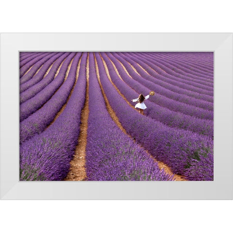 Violet White Modern Wood Framed Art Print by Della Latta, Massimo