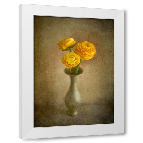 Yellow Buttercups White Modern Wood Framed Art Print by Tokarev, Igor