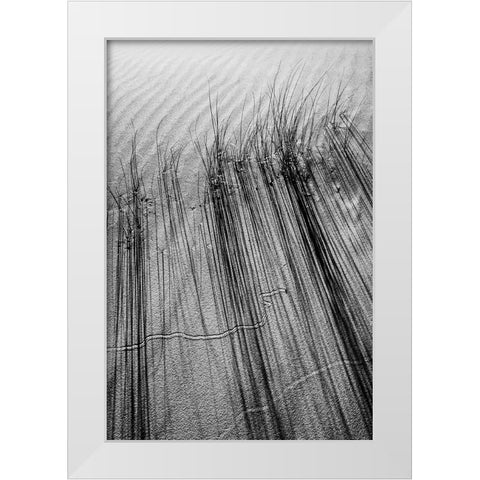 Dune # 7 White Modern Wood Framed Art Print by Rousse, Pascal