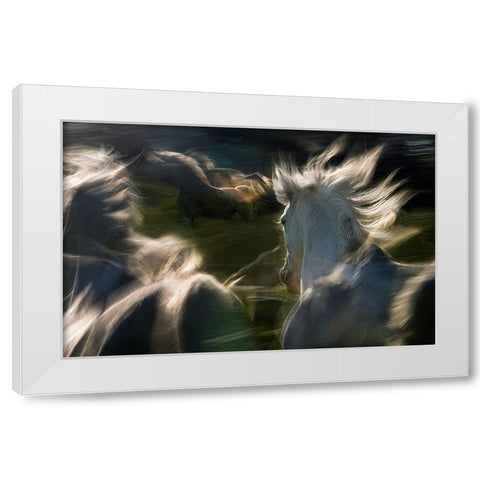 Esata Equina White Modern Wood Framed Art Print by Malovrh, Milan