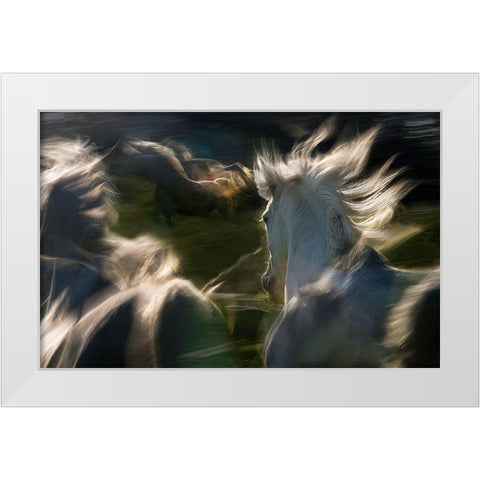 Esata Equina White Modern Wood Framed Art Print by Malovrh, Milan