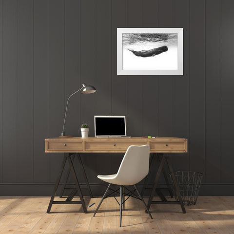 Sperm Whale White Modern Wood Framed Art Print by Gabriel, Barathieu