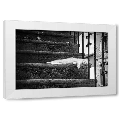 Slow Life White Modern Wood Framed Art Print by Polo, Piera