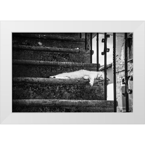 Slow Life White Modern Wood Framed Art Print by Polo, Piera