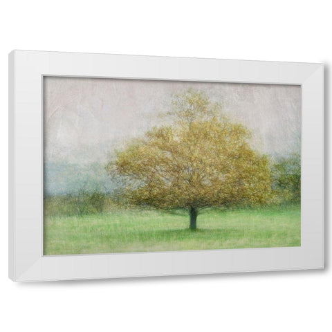 Solitaire White Modern Wood Framed Art Print by Holmstrom, Katarina