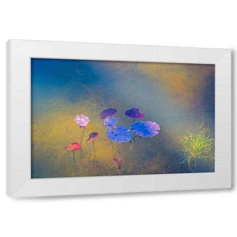 Water Life White Modern Wood Framed Art Print by De Laat, Bernardine