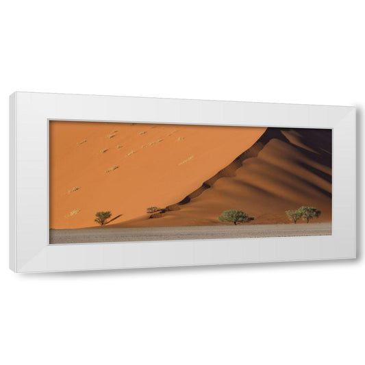 Perspective Image