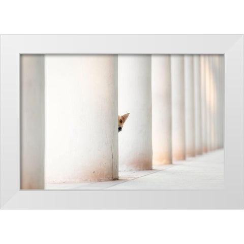Bella - And The Pillars Of The Earth... White Modern Wood Framed Art Print by Willers, Heike