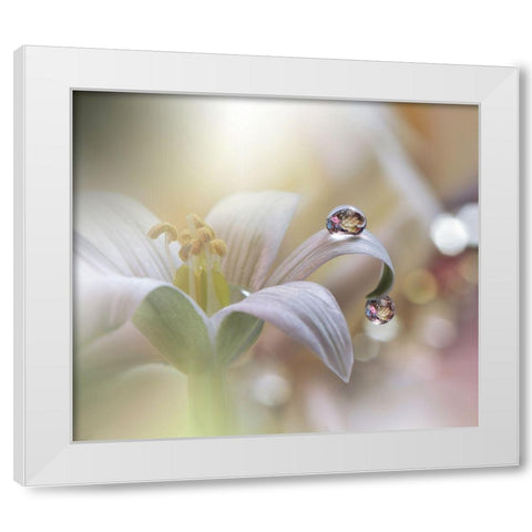 Tears Of Time.. White Modern Wood Framed Art Print by Nan, Juliana
