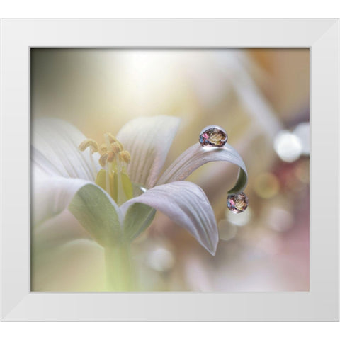 Tears Of Time.. White Modern Wood Framed Art Print by Nan, Juliana