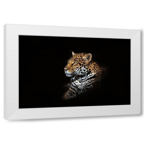 Jaguar Portrait White Modern Wood Framed Art Print by Reames, Richard