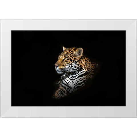 Jaguar Portrait White Modern Wood Framed Art Print by Reames, Richard