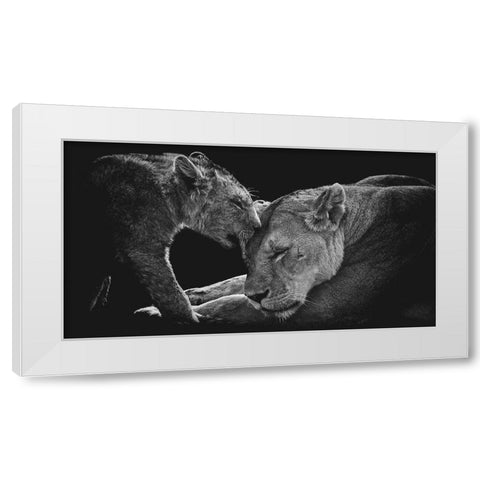 Lion Family White Modern Wood Framed Art Print by Vidak, Vedran