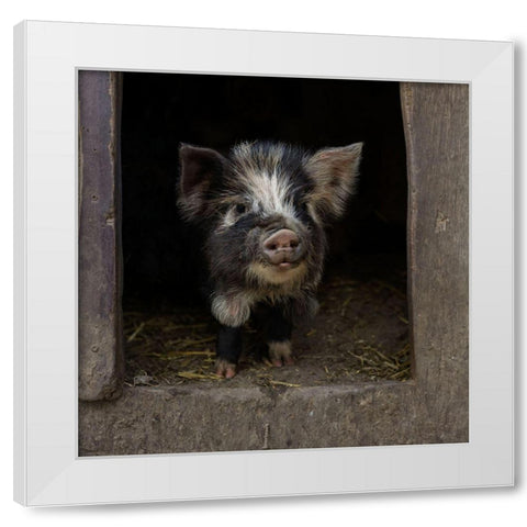 Please-Come In! White Modern Wood Framed Art Print by Van Den, Gert