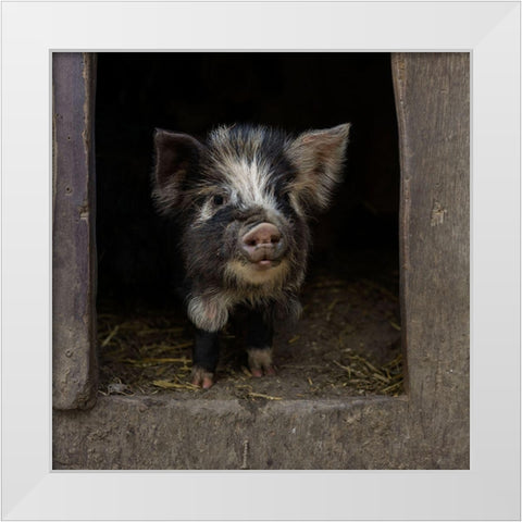 Please-Come In! White Modern Wood Framed Art Print by Van Den, Gert