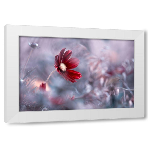 Carmen White Modern Wood Framed Art Print by Bravin, Fabien