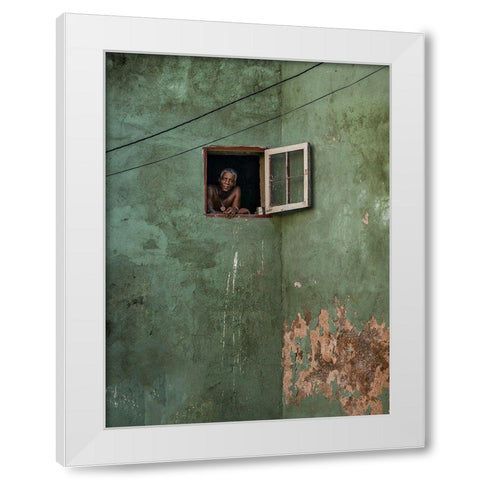 Green Facade White Modern Wood Framed Art Print by Bauer, Andreas