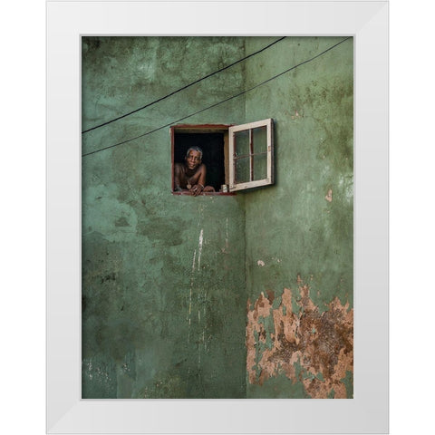 Green Facade White Modern Wood Framed Art Print by Bauer, Andreas