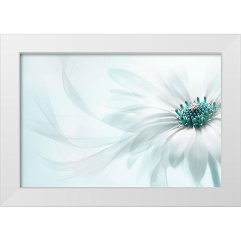 Purity White Modern Wood Framed Art Print by Parker, Jacky