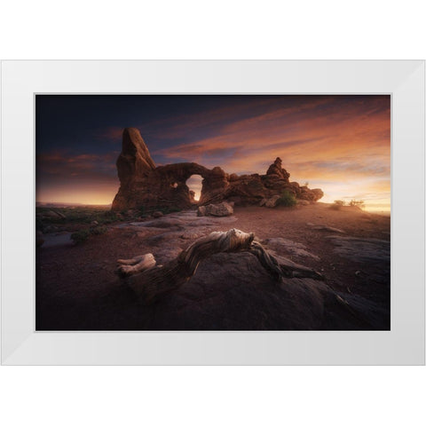 Roots Of Arches. White Modern Wood Framed Art Print by Pablo De, Juan