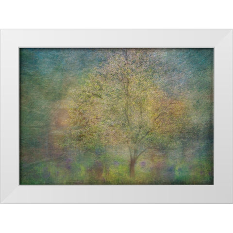 Impressions Of A Tree White Modern Wood Framed Art Print by Holmstrom, Katarina
