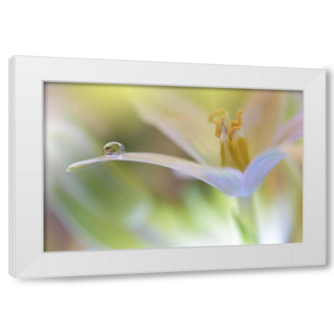 Sunbeam.. White Modern Wood Framed Art Print by Nan, Juliana