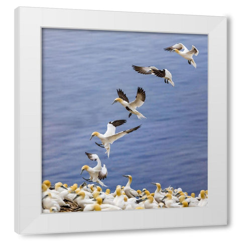 Back Home.... White Modern Wood Framed Art Print by Jiang, Yi
