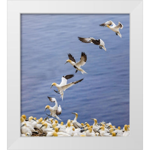 Back Home.... White Modern Wood Framed Art Print by Jiang, Yi