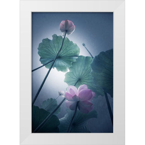 Lotus White Modern Wood Framed Art Print by Shanyewuyu