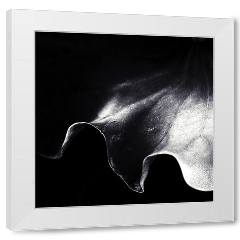A Kiss Of Light White Modern Wood Framed Art Print by Flour, Piet