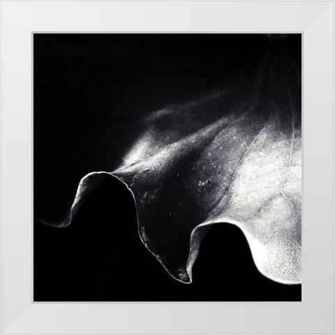 A Kiss Of Light White Modern Wood Framed Art Print by Flour, Piet