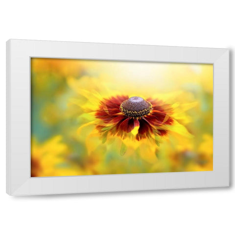 Autumn Glow White Modern Wood Framed Art Print by Parker, Jacky