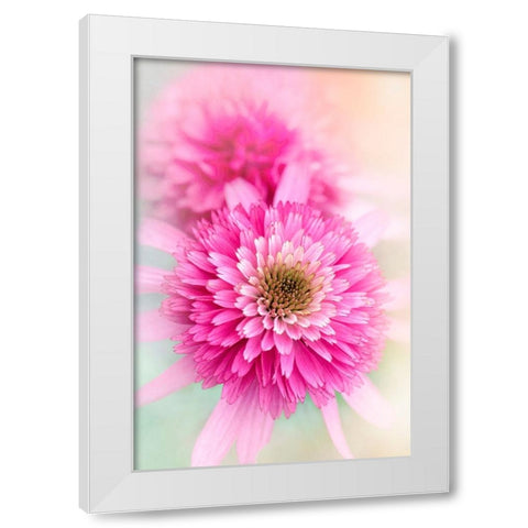 Summer Spirit White Modern Wood Framed Art Print by Parker, Jacky